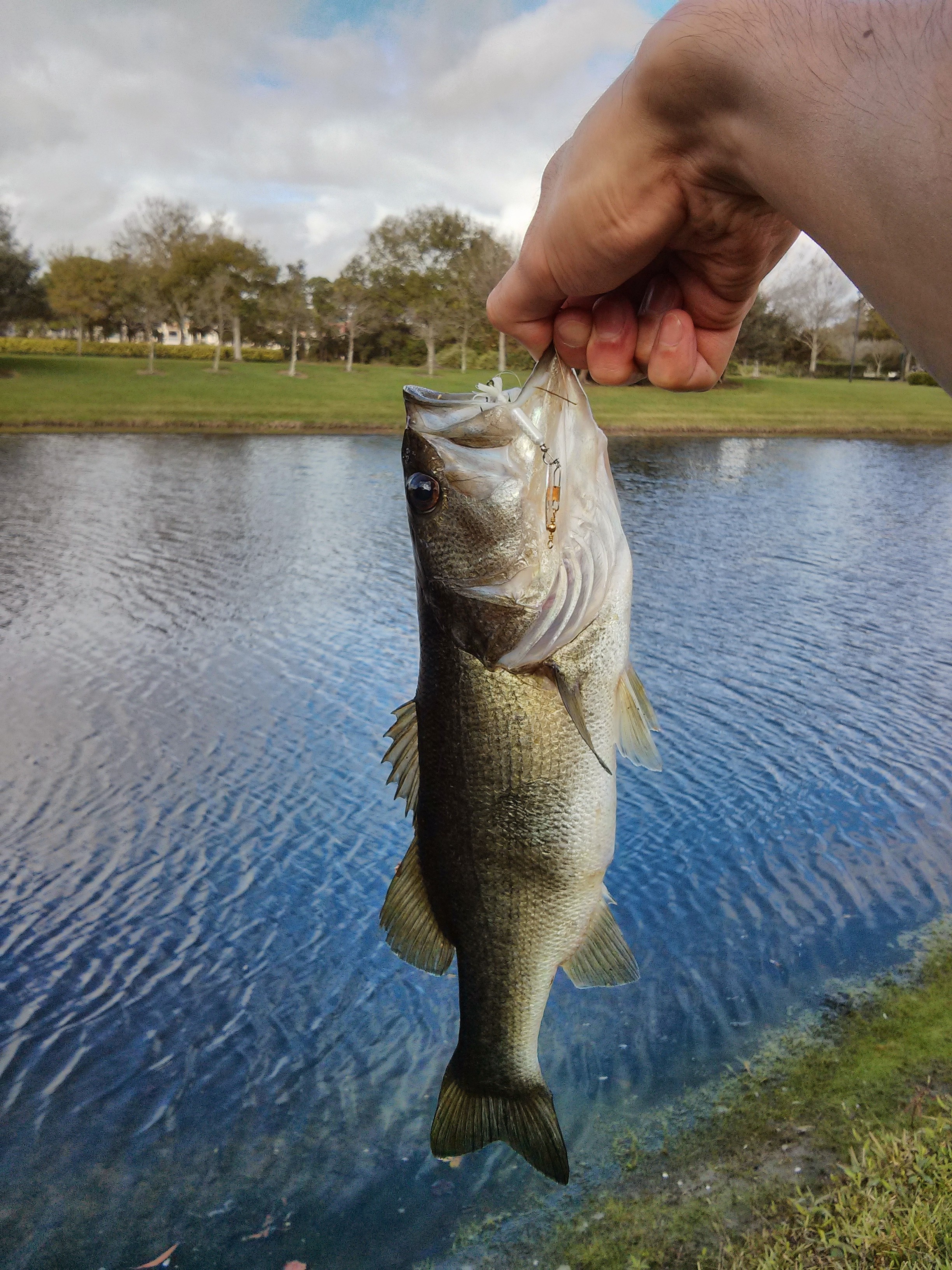 Bucket list: Catch a fish and eat it : umbrant